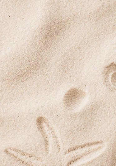 Top view of a sandy beach texture with imprints of exotic seashells and starfish as natural textured background